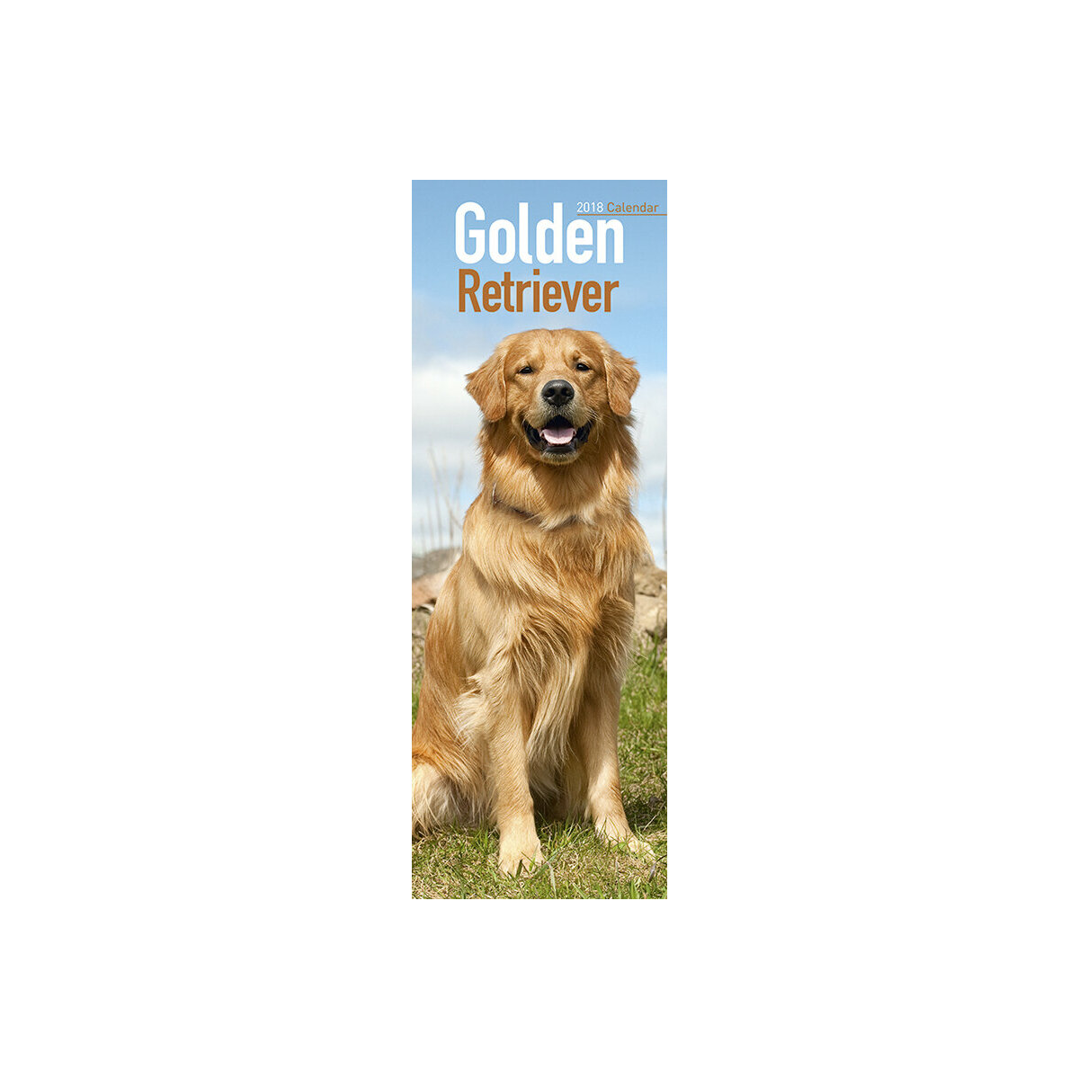 Calendrier 2018 Golden retriever Calendrier 2018 Golden retriever