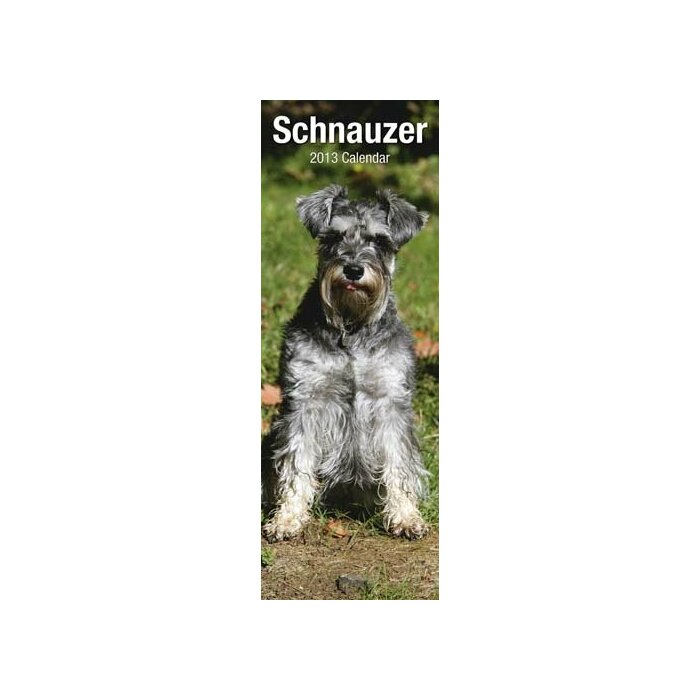Calendrier 2013 Schnauzer slim