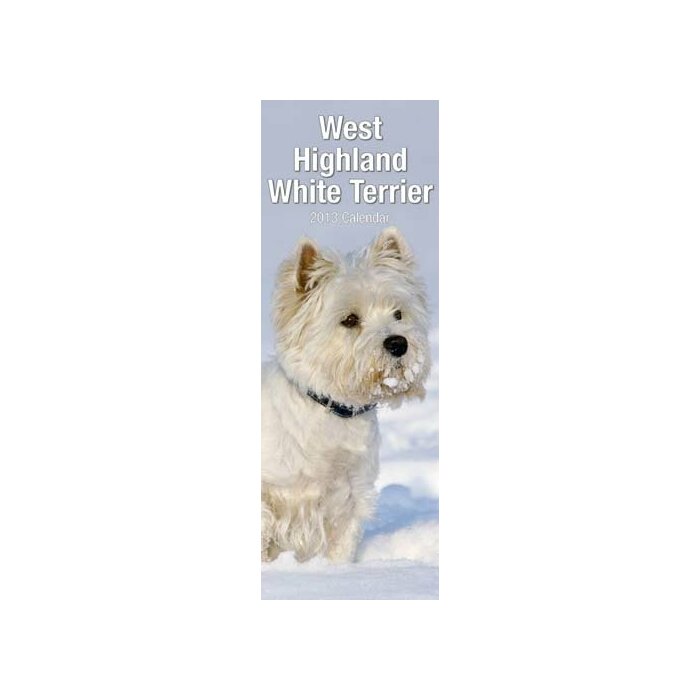 Calendrier 2013 Westie slim