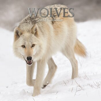 Calendrier Scolaire 2023 Loup Calendrier 2022 Loup