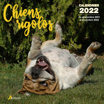 Calendrier 2023 Rigolo Calendrier 2022 Chien Rigolo