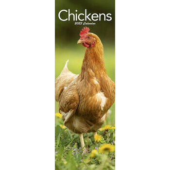 calendrier Poule slim 2023