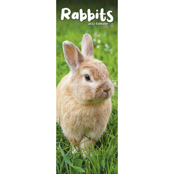 Calendrier Lapin 2023 Calendrier Lapin Slim 2023