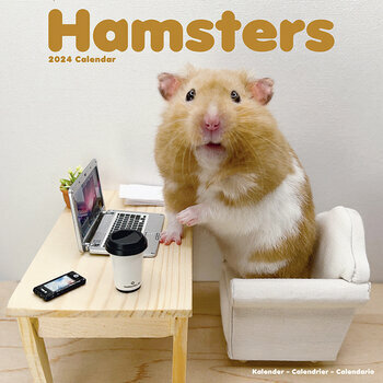 Calendrier 2024 Hamster