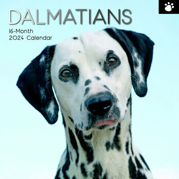 Calendrier 2024 Dalmatien