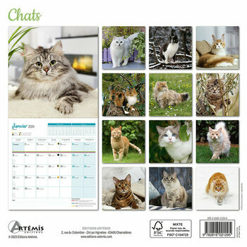 Calendrier 2024 Chats