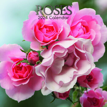 Calendrier 2024 Rose