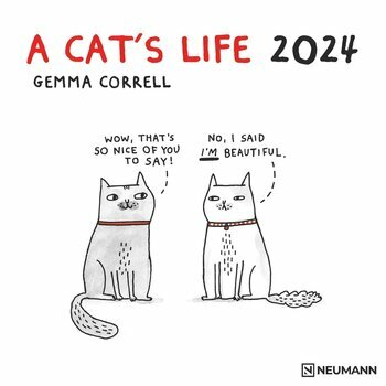 Calendrier 2024 BD humour chat - a cat's life