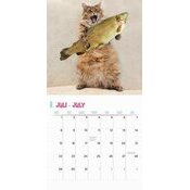 Calendrier 2024 Photo Humour chat