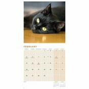Calendrier 2024 Chats Noirs
