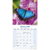 Calendrier Papillon Bleu 2025