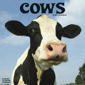 Calendrier Vache Holstein 2025