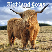 Calendrier Vache Highland 2025