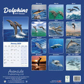 Calendrier Dauphin 2025