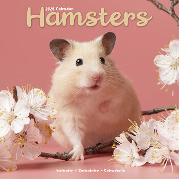 Calendrier 2025 Hamster