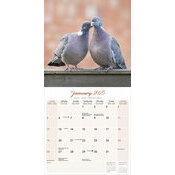 Calendrier  2025 Pigeon
