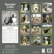 Calendrier Mural 2025 Bearded Collie