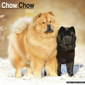 Calendrier 2025 Chow Chow