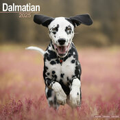 Calendrier 2025 Dalmatien Nature