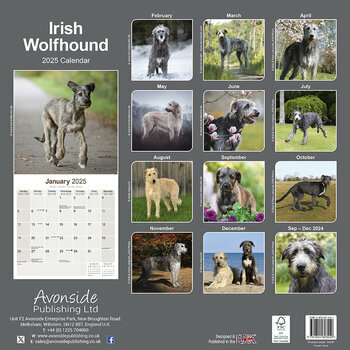 Calendrier 2025 Irish Wolfhound