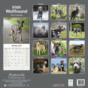 Calendrier Lvrier 2025 Irish Wolfhound