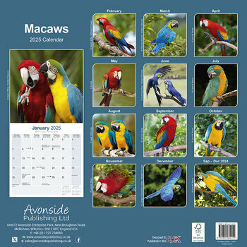 Calendrier 2025 Perroquet Ara Macaw