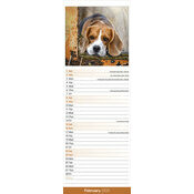 Calendrier Mural 2025 Beagle chasse