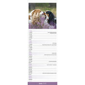 Calendrier Couple Cavalier King charles 2025