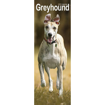 Calendrier Etroit Slim 2025 Greyhound