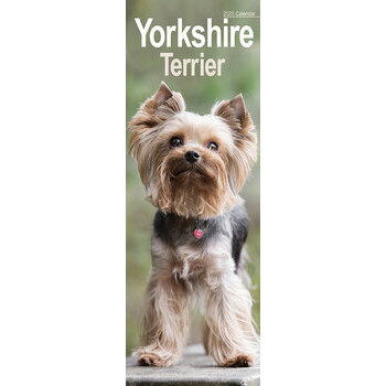 Calendrier Etroit Slim 2025 Yorkshire Terrier