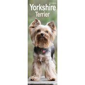 Calendrier Slim 2025 Yorkshire Terrier