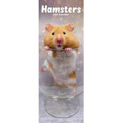 Calendrier Slim 2025 Hamster