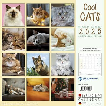 Calendrier 2025 Chats Cool