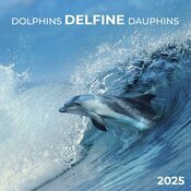 Calendrier 2025 Dauphin Mer