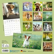 Calendrier Mural 2025 Chiots Chien