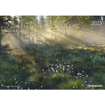 Maxi Calendrier 2025 Forêts Magiques