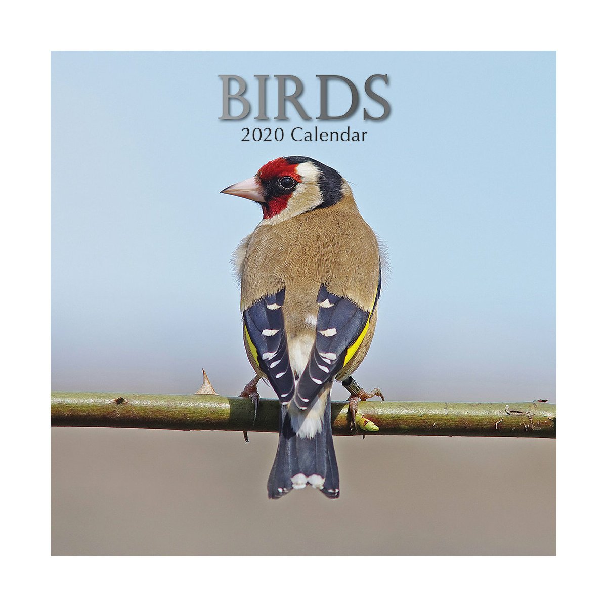 Calendrier 2020 Oiseaux Nature