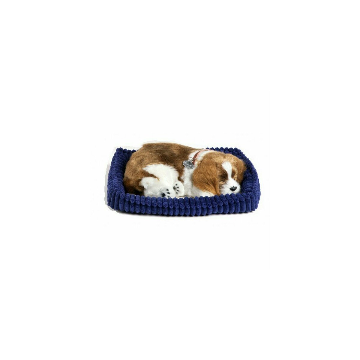 peluche cavalier king charles