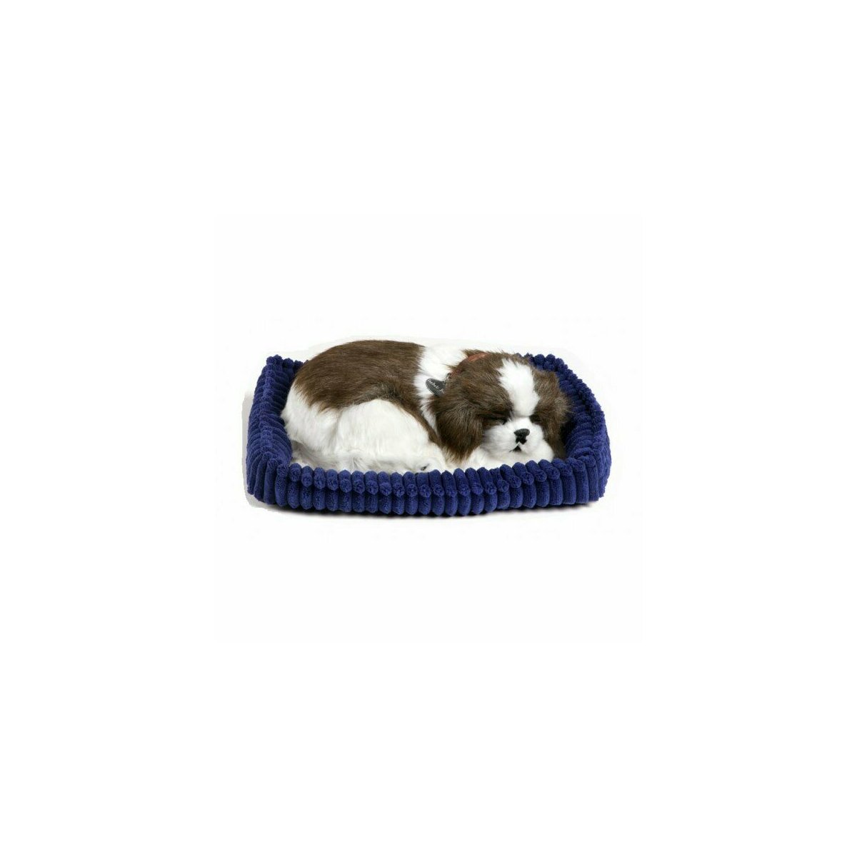 Perfect petzzz chien outlet