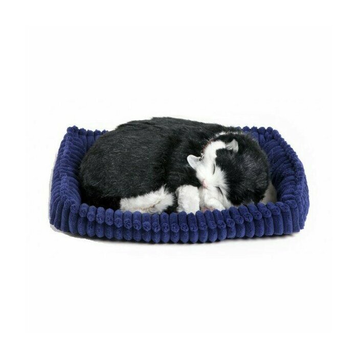 chat noir et blanc peluche vivante Perfect petzzz