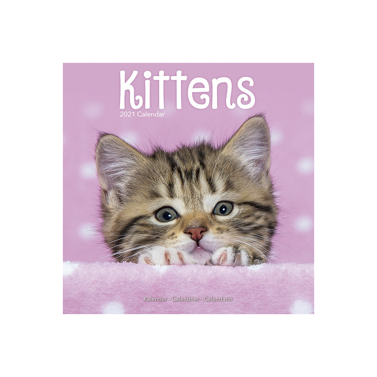 Calendrier 2021 Chatons calendrier chatons 2021