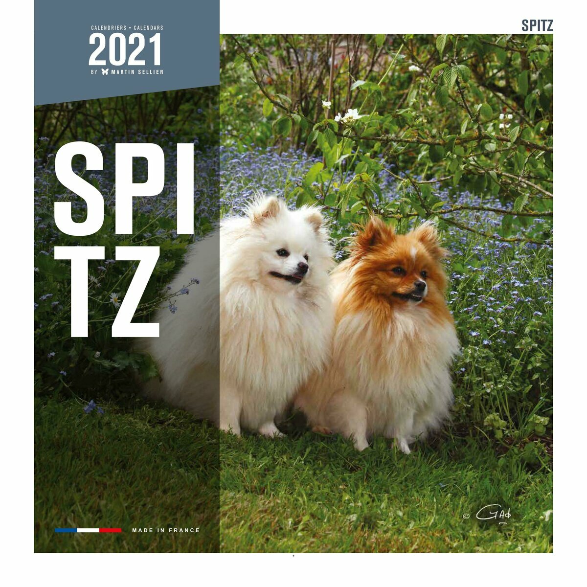 Calendrier 2021 Spitz Nain