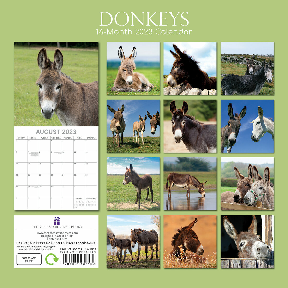 Donkeys - Calendriers 2023