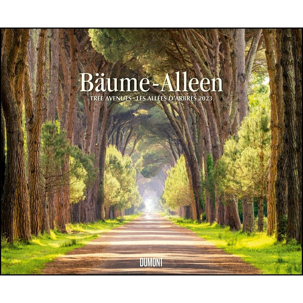 Maxi Calendrier 2023 Allée d'arbres Maxi Calendrier 2023 Allée d'arbres