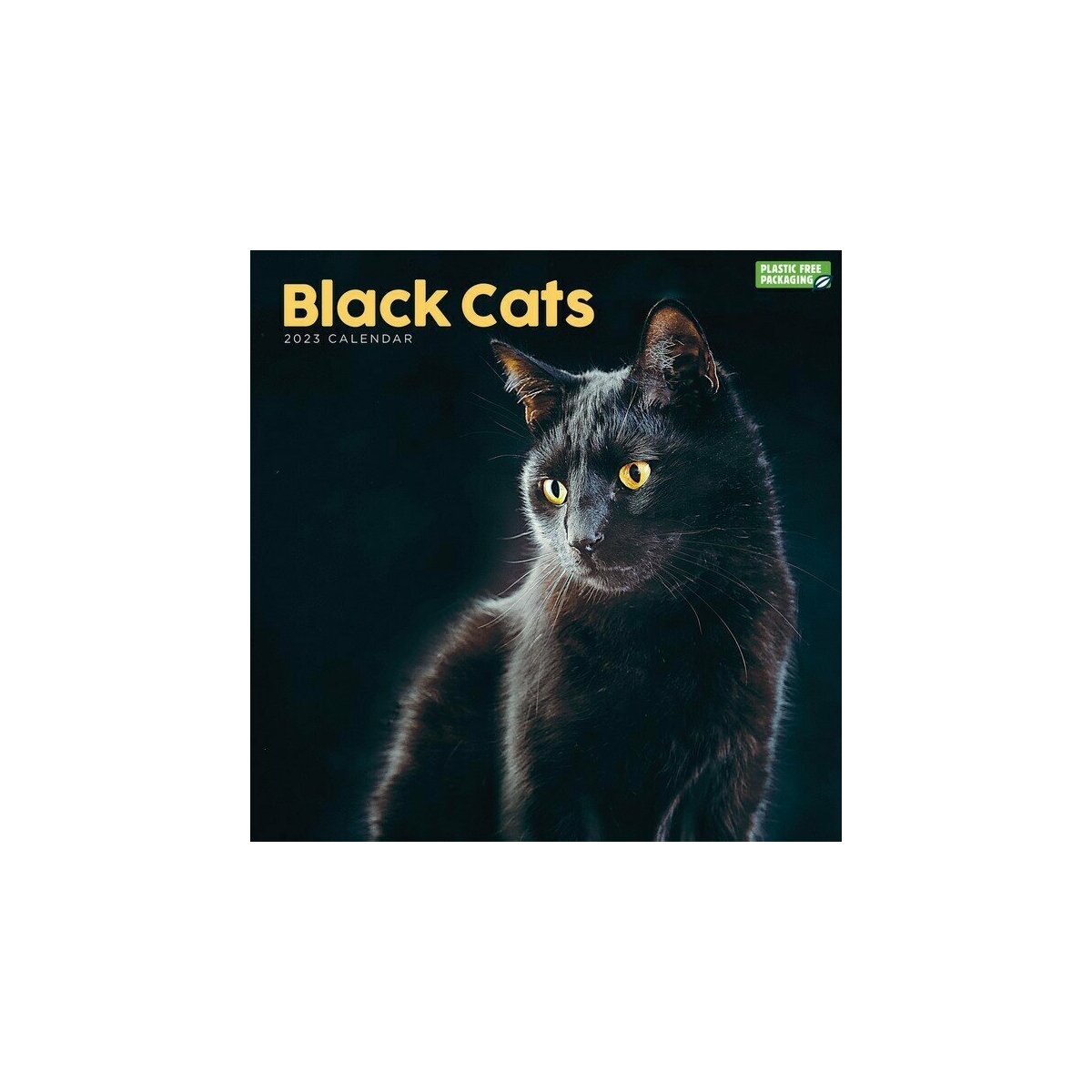 Calendrier Chat Noir 23