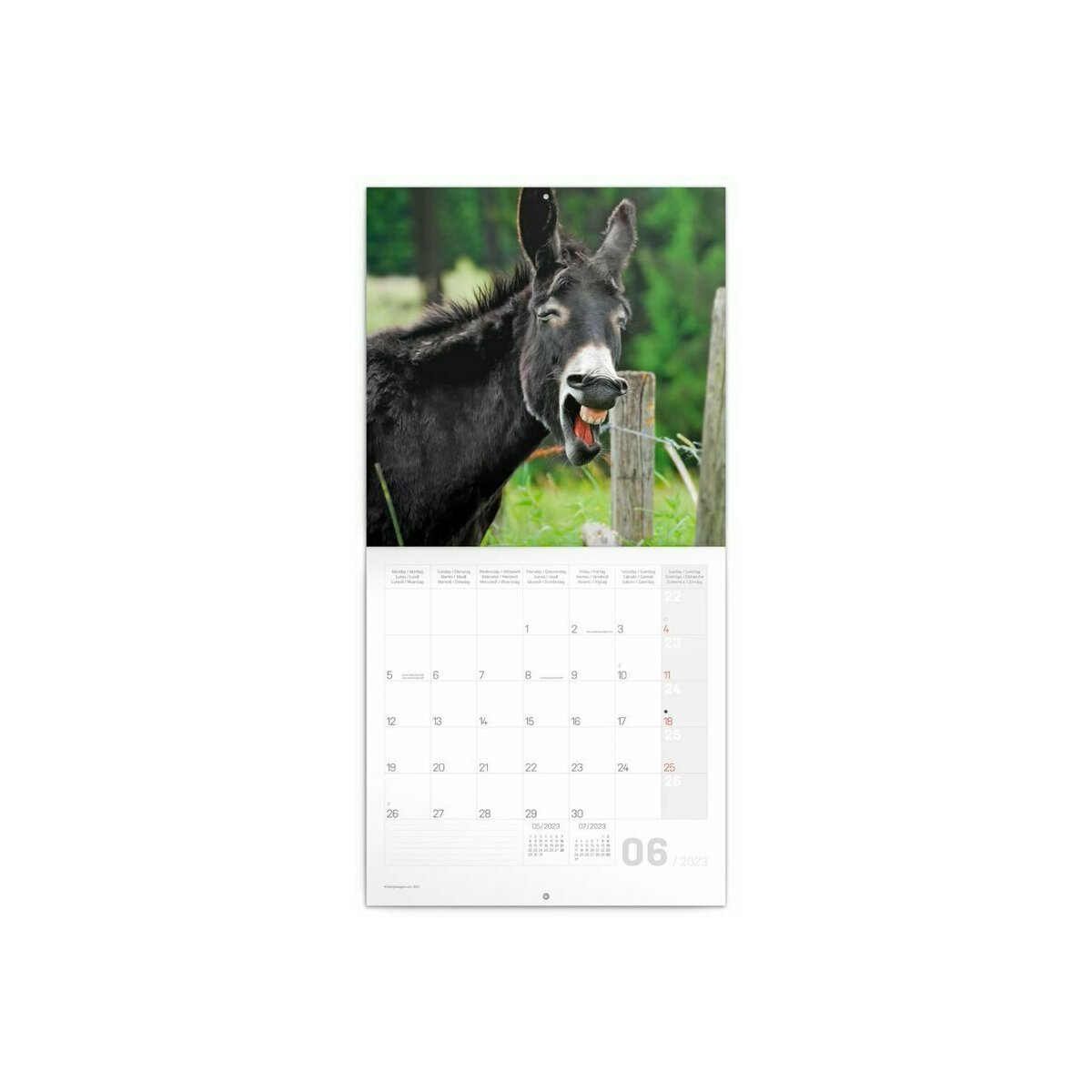 Calendrier 2023 Animaux smile
