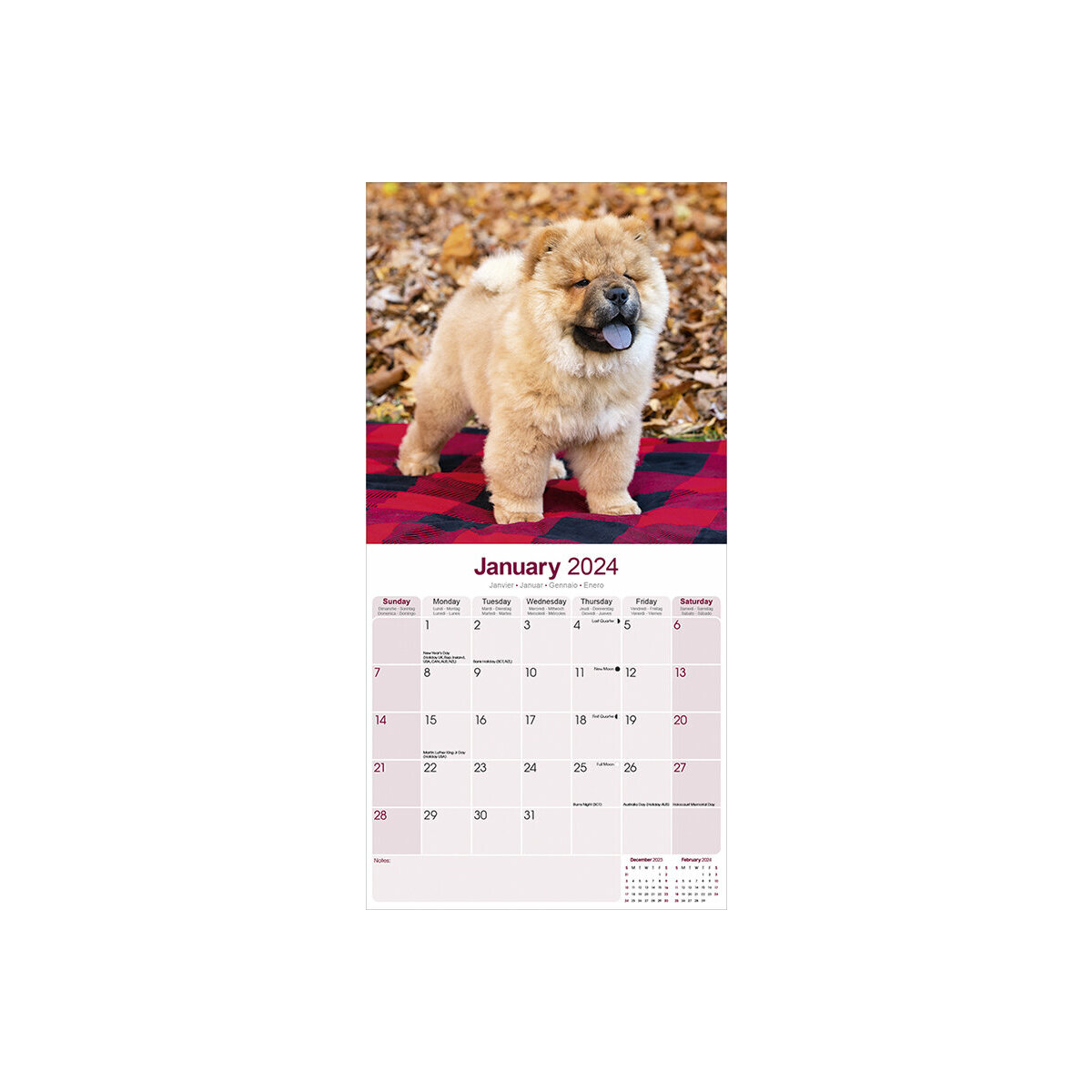 Calendrier 2024 Calendar - Chantal Proulx