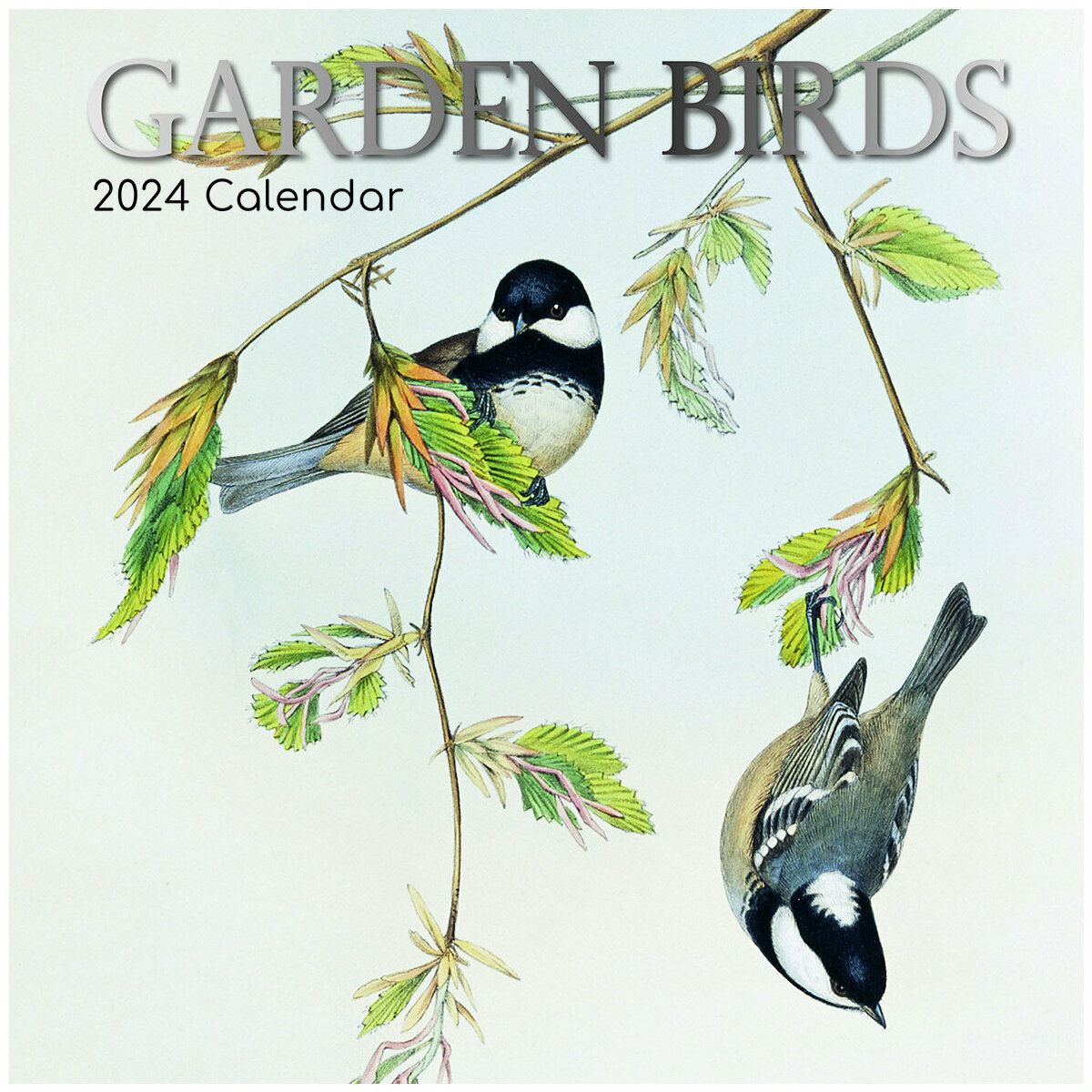 Calendrier Oiseaux à l'aquarelle 2024