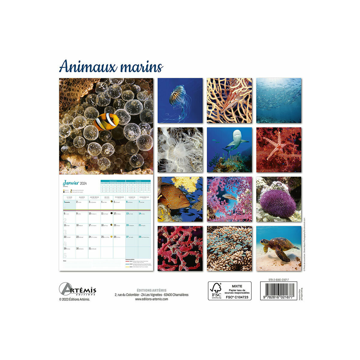 PERIODIQUE CALENDRIER ANIMAUX MARINS 2024