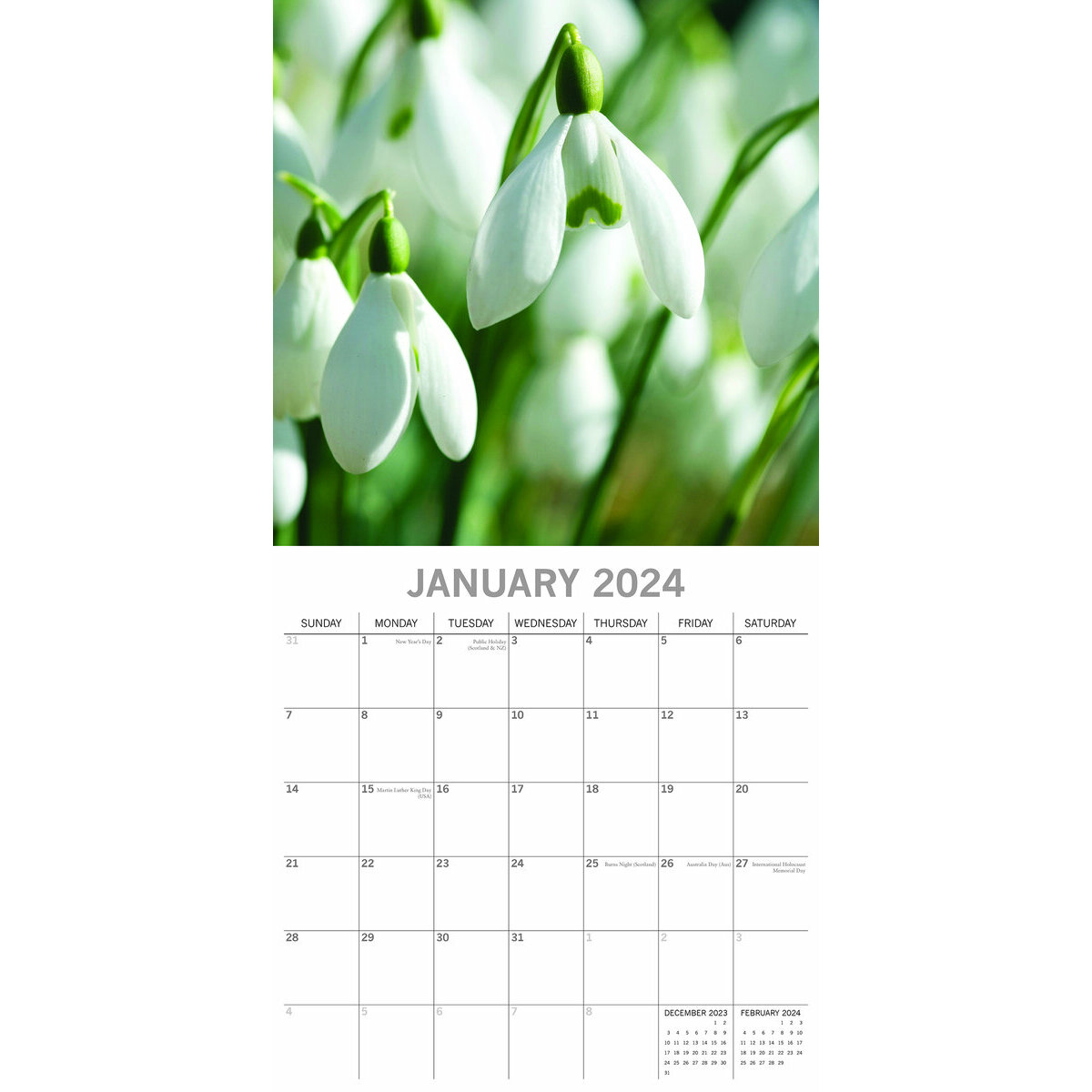 Acheter le calendrier Beauté des fleurs 2024 ? Commandez en ligne  rapidement et facilement 